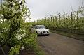 MG Bloesemrit op 24-4-2016 org. Jos&Marie-lou  (86)